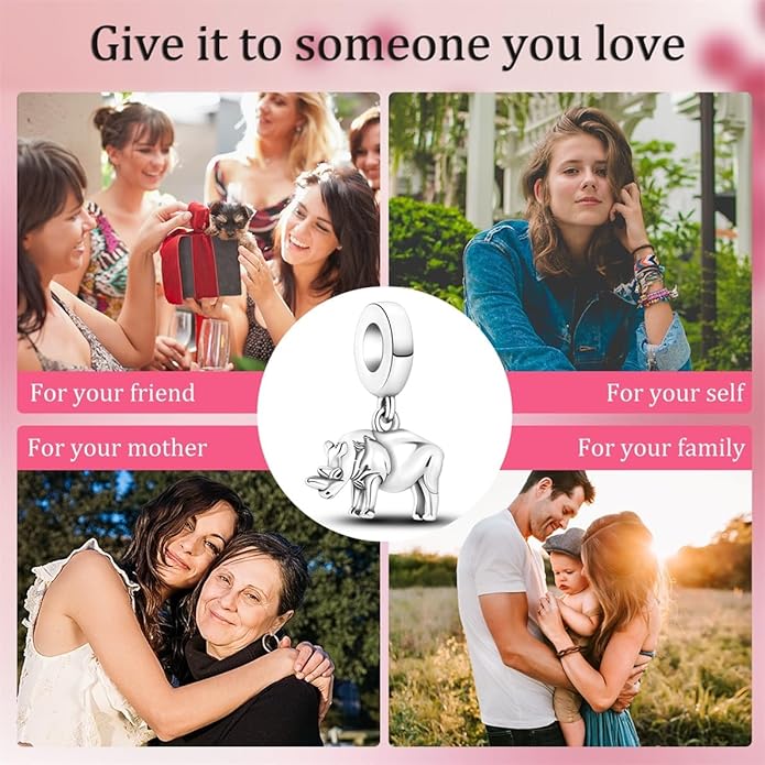 HONGRUI 925 Sterling Silver Charm for Bracelets Necklace Fashion Heart Bow Flower Family Butterfly Pendant Bead Charm for Women Festival jewelry gifts