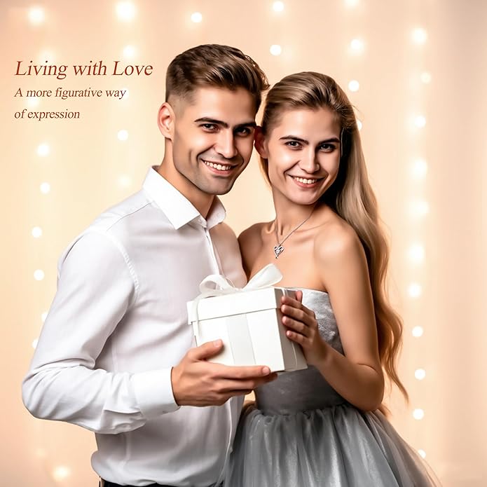 Yuelove Infinity Necklace for Women, 925 Sterling Silver Heart Necklace with 5A Zircon, White Gold Plated Adjustable Chain, Gift for Valentine's Day, Birthday, Anniversary for Wife, Girlfriend, Mom