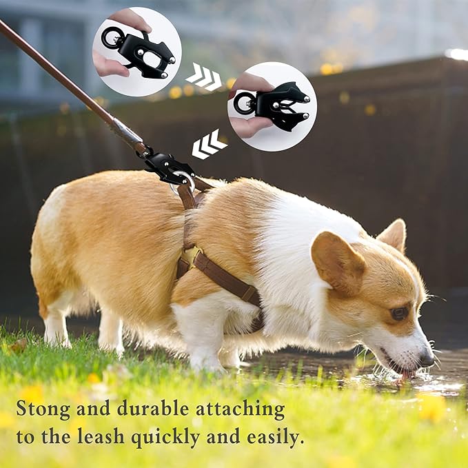 2 Pcs Frog Clip Dog Leash Clasp 360 Degree Swivel Clip Heavy Duty Quick Release and Locking Dog Leash Buckle for Linking Pet Collar (Small (Square x 2))
