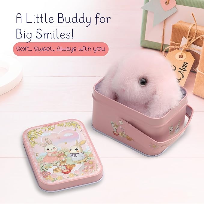 Mimi Buddies Bunny Keychain with Box, BunnyKeychain with Tin, Cute Bag Car Handbag Charm Keychains, BunnyCute Key chain