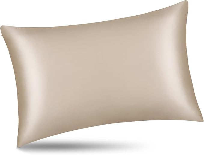 ALASKA BEAR Natural Silk Pillowcase, Hypoallergenic, 19 Momme, 600 Thread Count 100 Percent Mulberry Silk, Queen Size with Hidden Zipper (1,Champagne Gold)