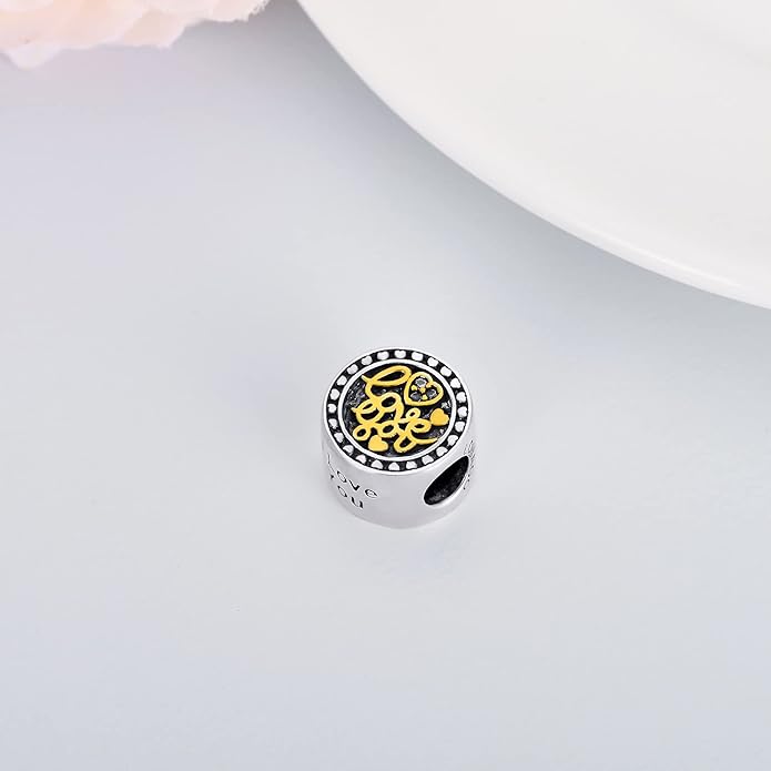 LONAGO 925 Sterling Silver Personalized Photo Charm Fit Compatible for Bracelet Necklace Customized Heart Round Shape Picture Bead