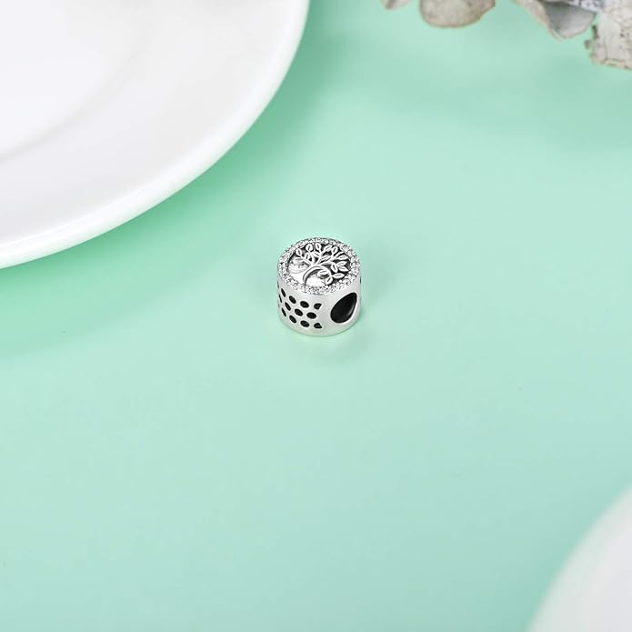 LONAGO 925 Sterling Silver Personalized Photo Charm Fit Compatible for Bracelet Necklace Customized Heart Round Shape Picture Bead