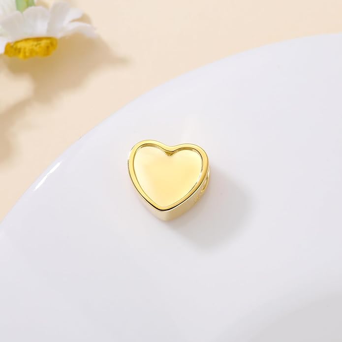 LONAGO 925 Sterling Silver Personalized Photo Charm Fit Compatible for Bracelet Necklace Customized Heart Round Shape Picture Bead