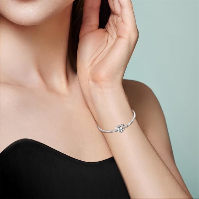 HONGRUI 925 Sterling Silver Charm for Bracelets Necklace Fashion Heart Bow Flower Family Butterfly Pendant Bead Charm for Women Festival jewelry gifts