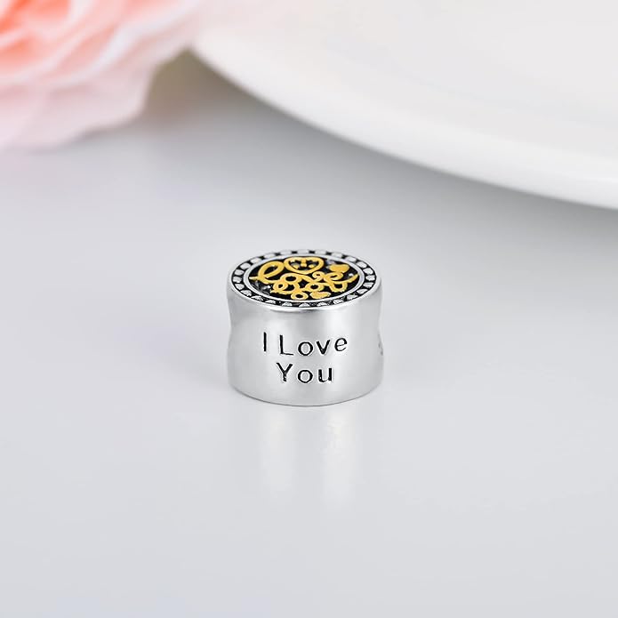 LONAGO 925 Sterling Silver Personalized Photo Charm Fit Compatible for Bracelet Necklace Customized Heart Round Shape Picture Bead