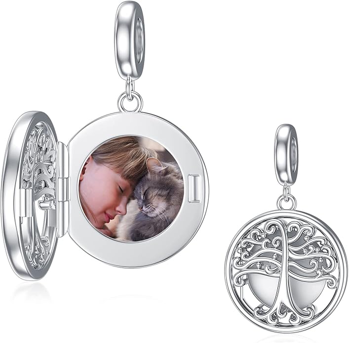 LONAGO 925 Sterling Silver Personalized Photo Charm Fit Compatible for Bracelet Necklace Customized Heart Round Shape Picture Bead