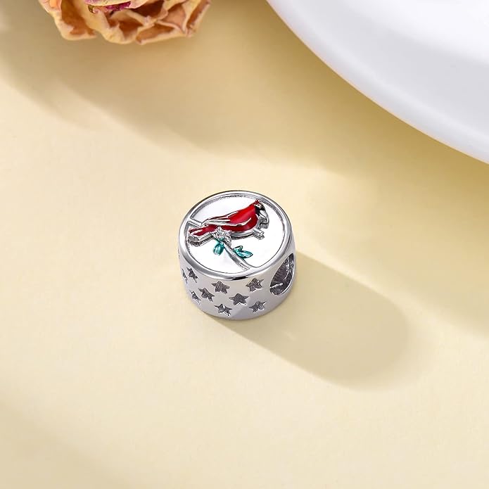 LONAGO 925 Sterling Silver Personalized Photo Charm Fit Compatible for Bracelet Necklace Customized Heart Round Shape Picture Bead