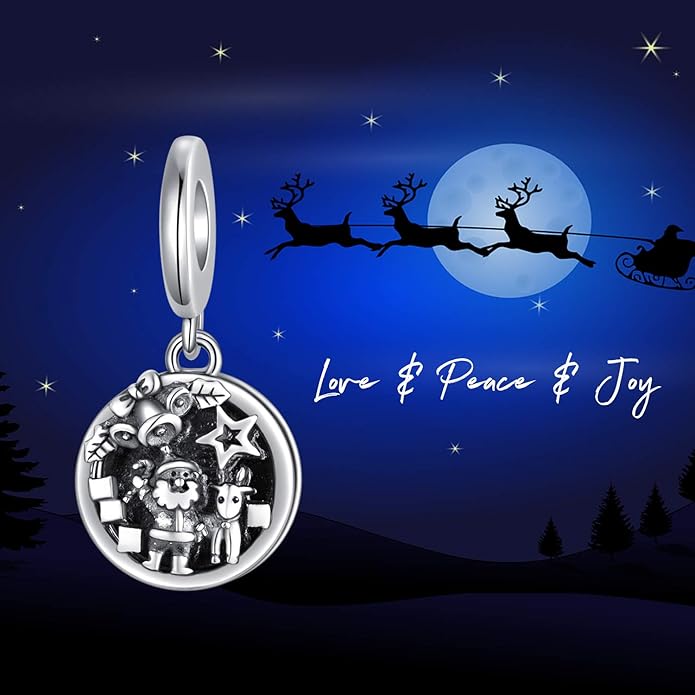 LONAGO 925 Sterling Silver Personalized Photo Charm Fit Compatible for Bracelet Necklace Customized Heart Round Shape Picture Bead