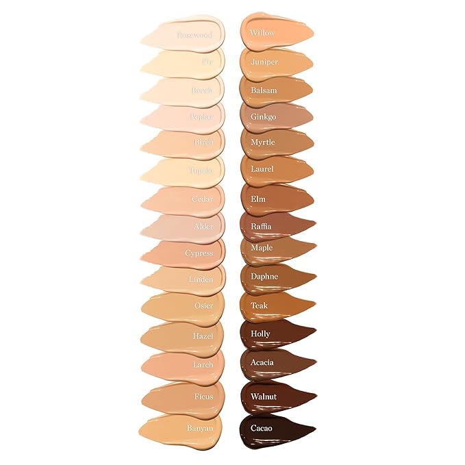 Ogee Complexion Perfecting Under Eye Concealer - Certified Organic Full Coverage Concealer - Buildable Coverage - ALDER 0.07C - Light Fair (Cool Undertones)