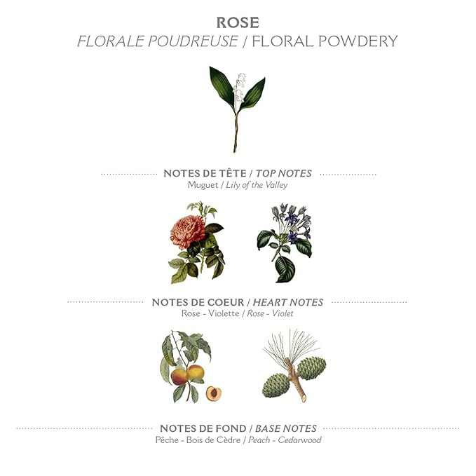 Panier des Sens – Rose Hand & Body Lotion for Dry Skin - Hydrating Body Cream for Women - Nourishing Fluid Body Moisturizer Shea Butter & Olive Oil - 97% Natural Ingredients Body Care - 8.45 Floz