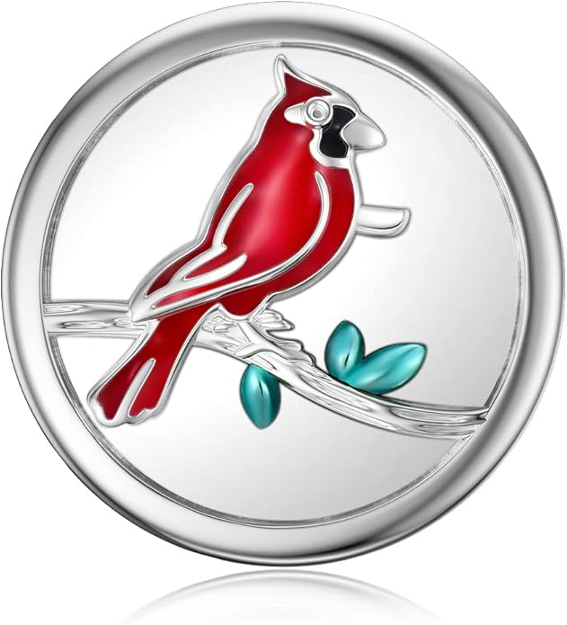 LONAGO 925 Sterling Silver Personalized Photo Charm Fit Compatible for Bracelet Necklace Customized Heart Round Shape Picture Bead