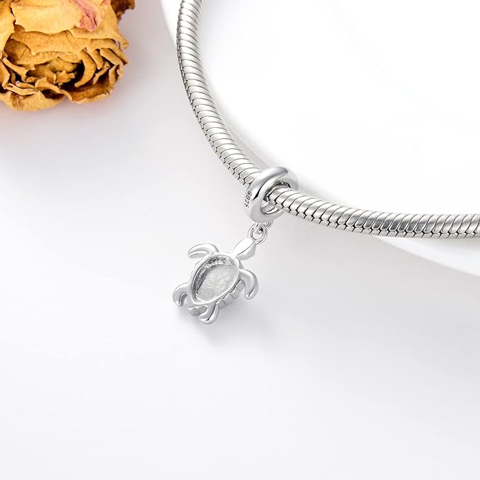 LONAGO 925 Sterling Silver Personalized Photo Charm Fit Compatible for Bracelet Necklace Customized Heart Round Shape Picture Bead