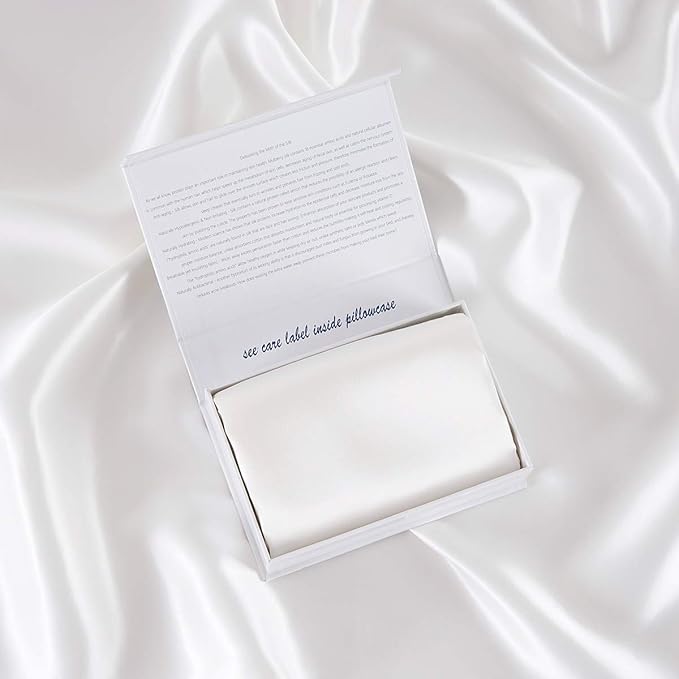 ALASKA BEAR Silk Pillowcase Envelope Closure, 22 Momme 100 Percent Mulberry Silk Pillow Slip Foldover Design, Washable and NO Zipper, King(1, Cool White)