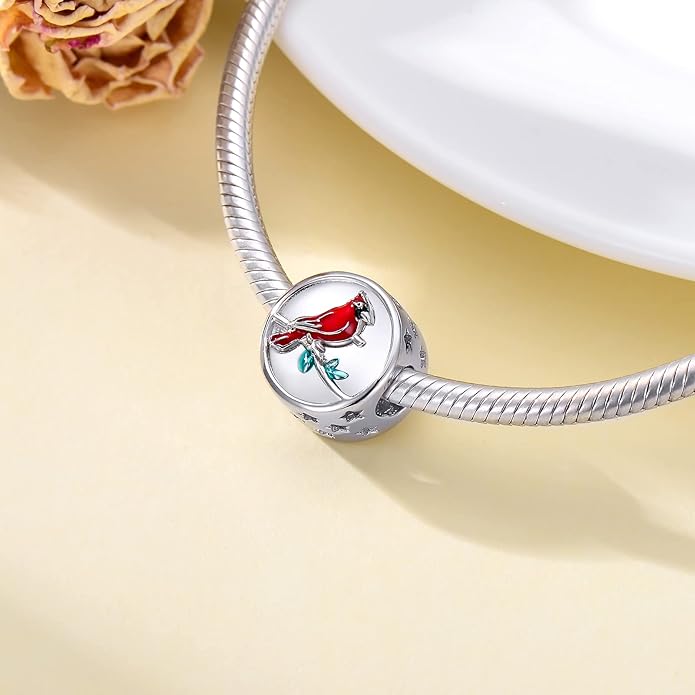 LONAGO 925 Sterling Silver Personalized Photo Charm Fit Compatible for Bracelet Necklace Customized Heart Round Shape Picture Bead