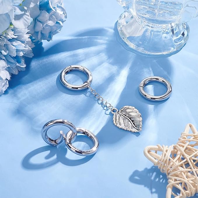 UNICRAFTAL 4pcs 24mm Spring Gate Rings Stainless Steel Spring Ring Clasps Closed Ring Clasps O Rings Clasp Connector Findings for DIY Jewelry Making, Stainless Steel Color, Inner Dia 16mm