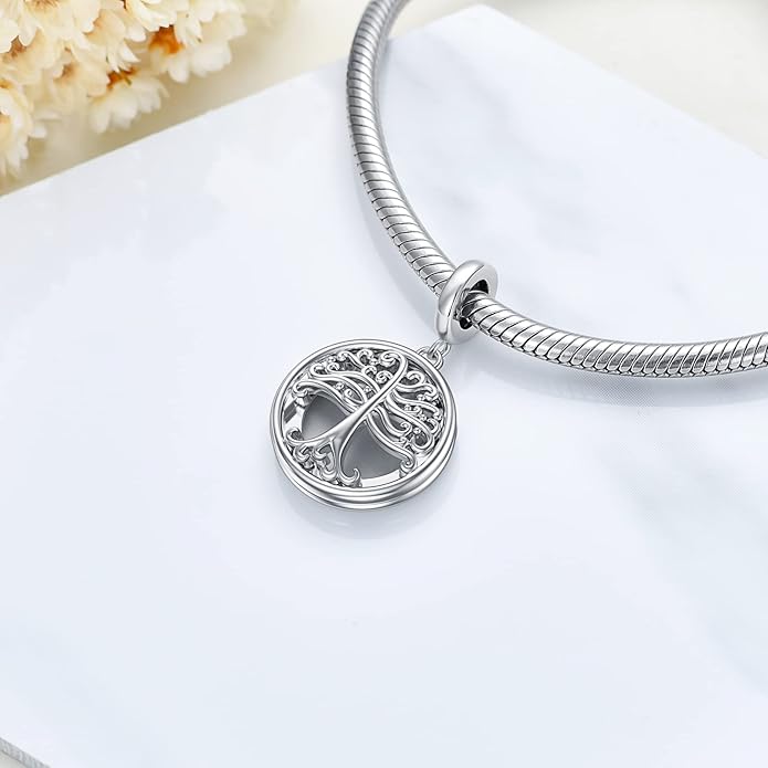 LONAGO 925 Sterling Silver Personalized Photo Charm Fit Compatible for Bracelet Necklace Customized Heart Round Shape Picture Bead