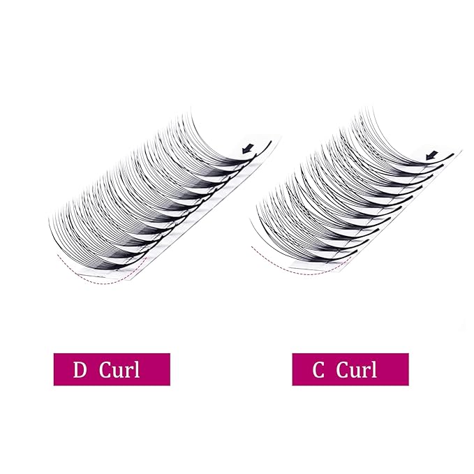 Eyelash Extensions Premade Fans Eyelash Extensions C CC D DD Curl Pointy Tip Pre Fan Eyelashes Premade Lash Extension Fans Volume Lash Extensions Pre Made Volume Lashes (10D-0.07D, 10mm)