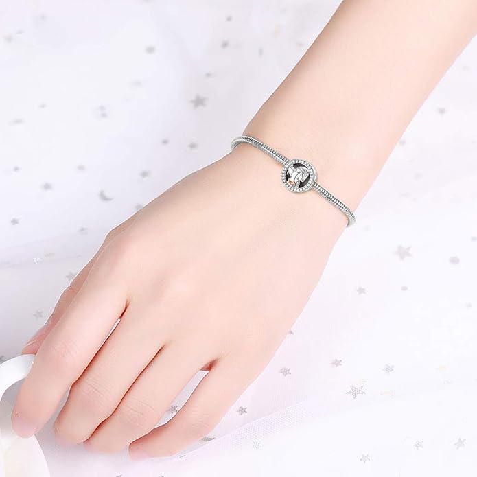 LONAGO 925 Sterling Silver Personalized Photo Charm Fit Compatible for Bracelet Necklace Customized Heart Round Shape Picture Bead