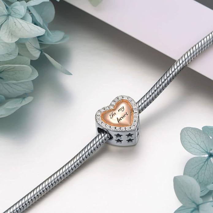 LONAGO 925 Sterling Silver Personalized Photo Charm Fit Compatible for Bracelet Necklace Customized Heart Round Shape Picture Bead