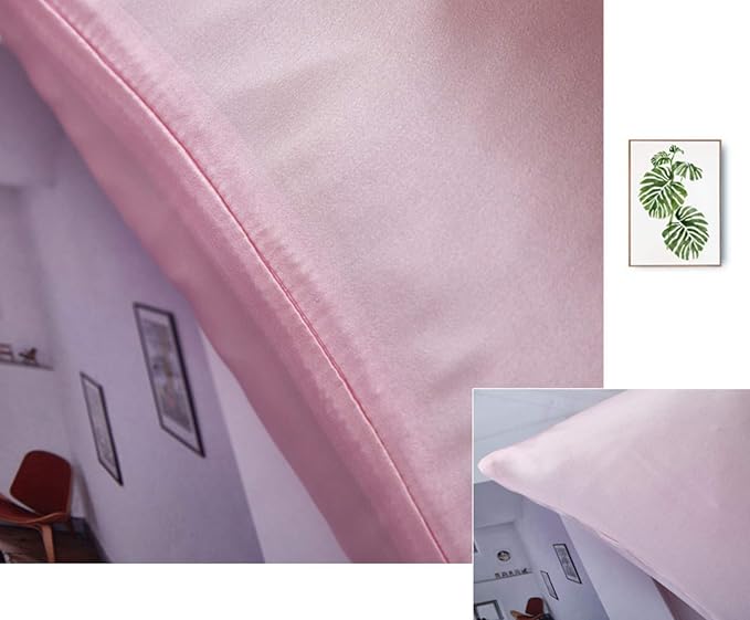 Mulberry Silk Pillowcases Set of 2, Hypoallergenic Satin Pillow Covers for Hair and Skin, with Hidden Zipper, Both Side 100% 19 Momme Silk (Pink,Standard)