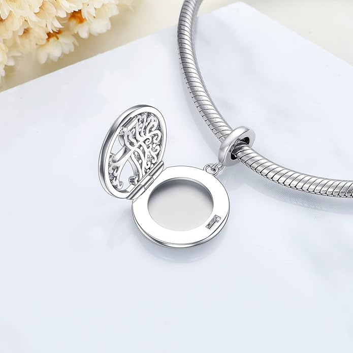 LONAGO 925 Sterling Silver Personalized Photo Charm Fit Compatible for Bracelet Necklace Customized Heart Round Shape Picture Bead
