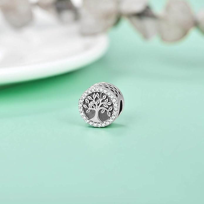 LONAGO 925 Sterling Silver Personalized Photo Charm Fit Compatible for Bracelet Necklace Customized Heart Round Shape Picture Bead