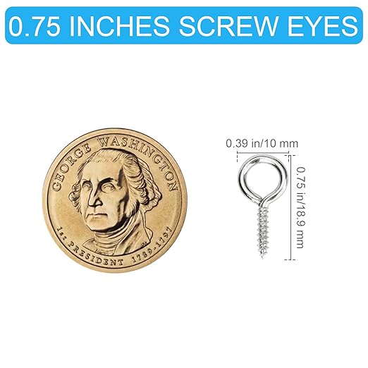 Aovchei Eye Screws, 100PCS 0.75 Inch Long, 304 Stainless Steel Screw Hooks, Self Tapping Eye Bolts, Indoor & Outdoor for Hanging Artwork