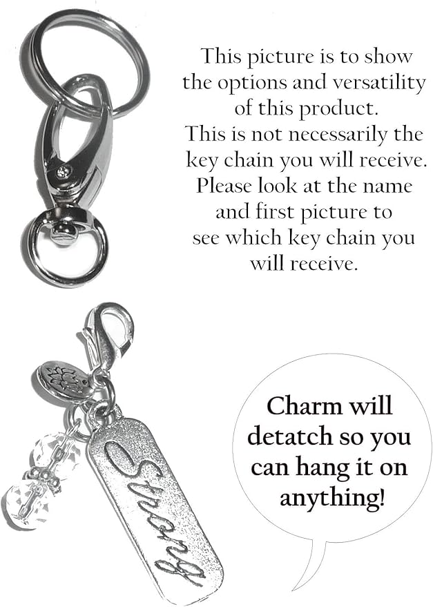 Hidden Hollow Beads Birthstone Charm Key Chain Ring, Women's Purse or Necklace Charm, Comes in a Gift Bag! (April)