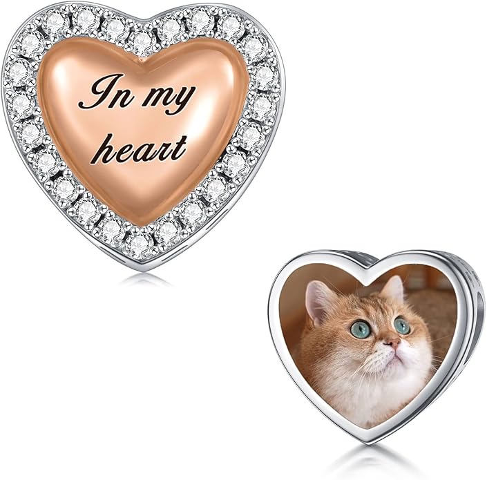 LONAGO 925 Sterling Silver Personalized Photo Charm Fit Compatible for Bracelet Necklace Customized Heart Round Shape Picture Bead