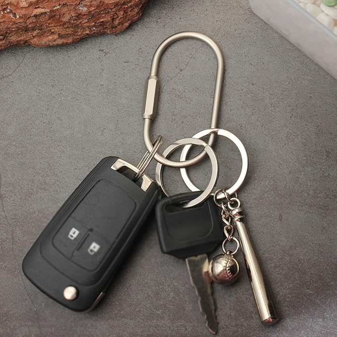 Locking Key Rings,Carabiner Keychain Clip for Keys,Purse Bag Charms Holder for Handbags,Screw Lock Key Organizer,Brass