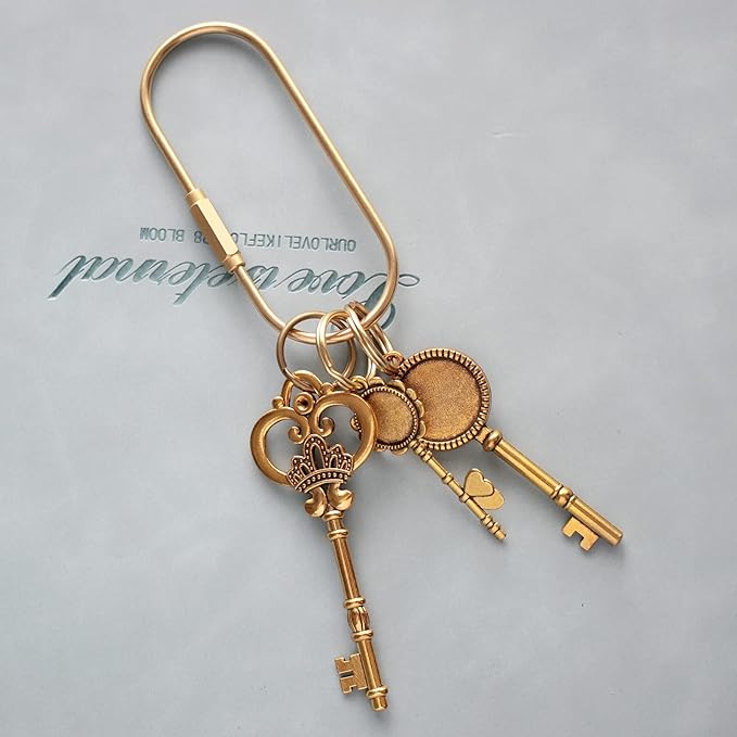 Gold Brass Key Rings, Purse Bag Charms for Handbags, Screw Lock Key Organizer, Carabiner Keychain Clip for Keys