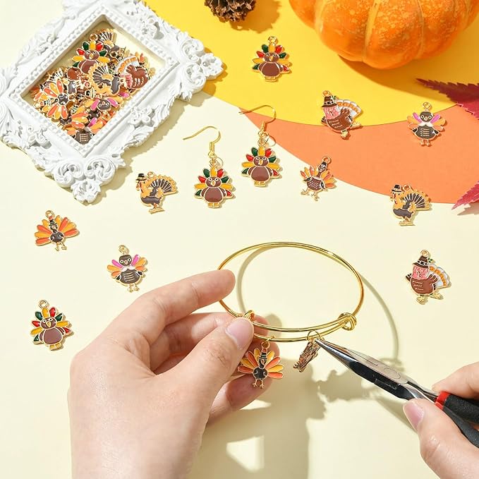 Stiesy 30 Pcs 6 Styles Enamel Assorted Turkey Charms Golden Color Thanksgiving Day Alloy Metal Charms Pendants Bulk for Bracelets Necklace Earring Jewelry Making DIY Craft