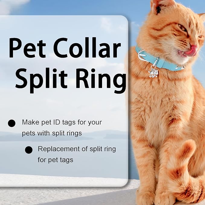 100PCS 1/2" Small Split Ring for Keychains, Double Loops Split Jump Rings Jewelry Making Necklaces Bracelets Earrings Metal Tiny Small Key Ring for Pet Collar Tag, Luggage Tag DIY Craft Accessories