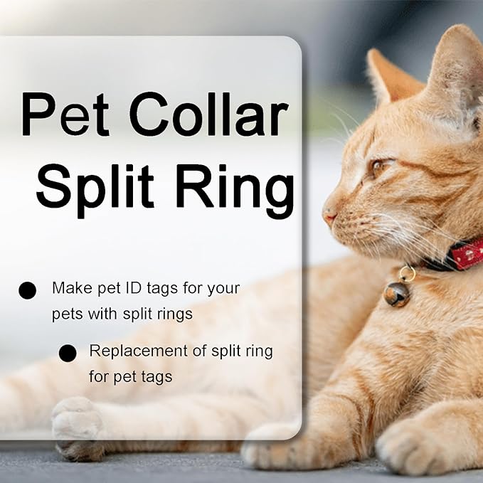 100pcs 5/8" Small Split Ring for Keychains, Double Loops Split Jump Rings Jewelry Making Metal Small Key Ring for Pet Collar Tag, Luggage Tag DIY Craft