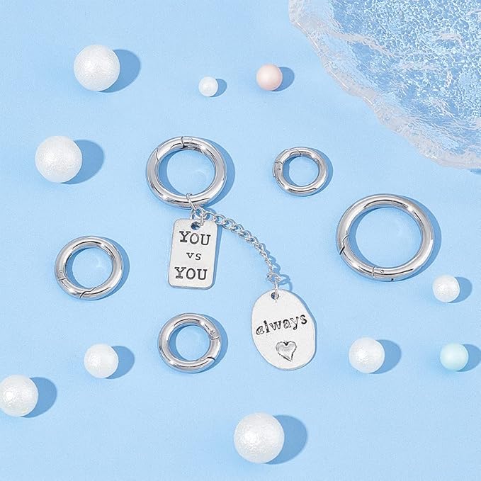 UNICRAFTALE 5Pcs Spring Gate Rings 304 Stainless Steel Snap Clasps 10~20mm Inner Ion Plating(IP) Round Clips Snap Hooks Spring Keyring Buckle Clasps for Bag Purse Shoulder Strap Key Chains