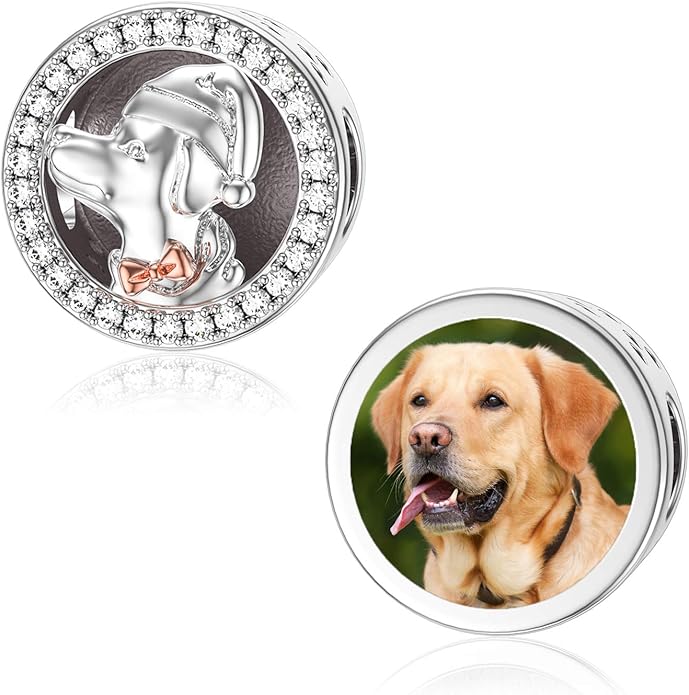 LONAGO 925 Sterling Silver Personalized Photo Charm Fit Compatible for Bracelet Necklace Customized Heart Round Shape Picture Bead