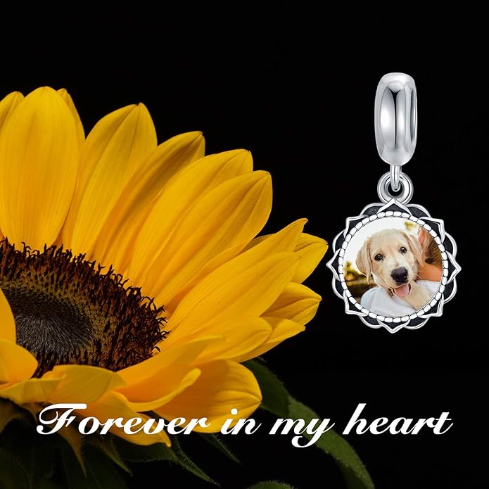 LONAGO 925 Sterling Silver Personalized Photo Charm Fit Compatible for Bracelet Necklace Customized Heart Round Shape Picture Bead