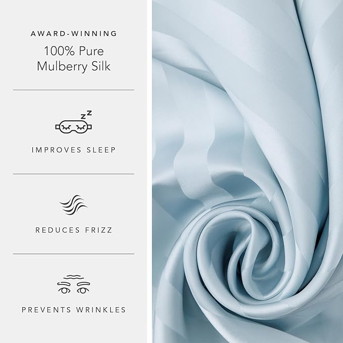 Fishers Finery 30mm 100% Pure Mulberry Silk Pillowcase Set, Quality Tested (Blue Stripe, Standard, 2 Pack)