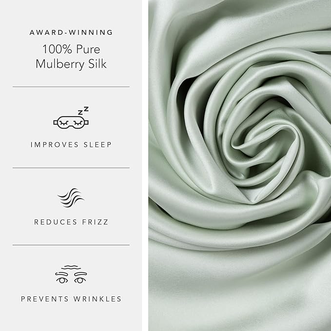 Fishers Finery 25mm 100% Pure Mulberry Silk Pillowcase (Light Green Queen)
