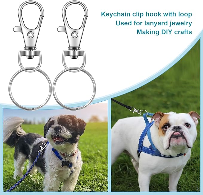 100PCS Key Chain Clip Hooks, Swivel Clasps Lanyard Snap Hook, Keychain Hooks for Lanyard Key Rings Crafting Silver