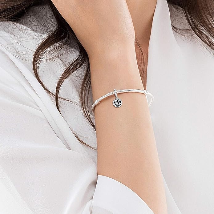 LONAGO 925 Sterling Silver Personalized Photo Charm Fit Compatible for Bracelet Necklace Customized Heart Round Shape Picture Bead