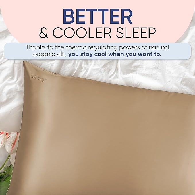 Blissy Silk Pillowcase - 100% Pure Mulberry Silk - 22 Momme 6A High-Grade Fibers - Silk Pillow Cover for Hair & Skin - Regular, Queen & King (Taupe, Queen)