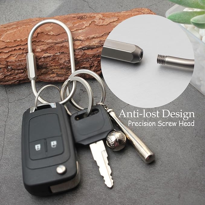 Locking Key Rings,Carabiner Keychain Clip for Keys,Purse Bag Charms Holder for Handbags,Screw Lock Key Organizer,Brass