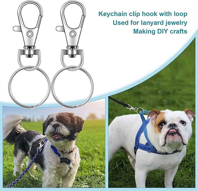50PCS Key Chain Clip Hooks, Swivel Clasps Lanyard Snap Hook, Keychain Hooks for Lanyard Key Rings Crafting Silver