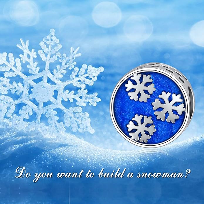 LONAGO 925 Sterling Silver Personalized Photo Charm Fit Compatible for Bracelet Necklace Customized Heart Round Shape Picture Bead