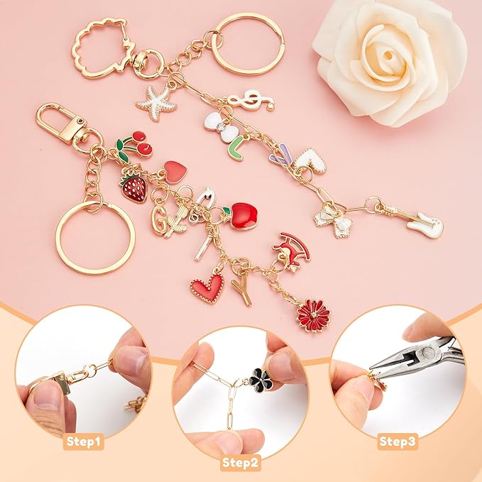 524Pcs DIY Keychain Making Kit with 218 Charms, Including 24 Keychain Clips Hooks 30 Extender Chain 200 Jump Ring Jewelry Plier Jewelry Making Supplies for Custom Key Ring Set Christmas Crafts Gifts