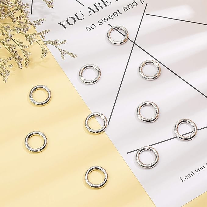 UNICRAFTABLE 10pcs Stainless Steel Spring Gate Rings Round Ring Springring Trigger Clasp Spring Snap Clip Hooks Metal Split Rings Keyring Buckle for Jewelry Making 20x3.5mm