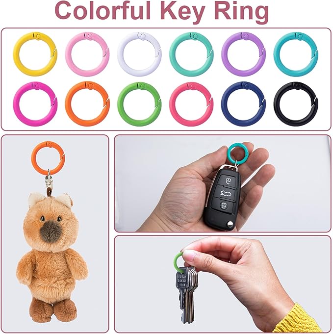 HINZIC 24Pcs 24mm Metal Spring O Rings, Round Colorful Carabiner Snap Clip Trigger Buckles DIY Accessories for Keyrings Bag Purse Handbag Keychain Lanyard