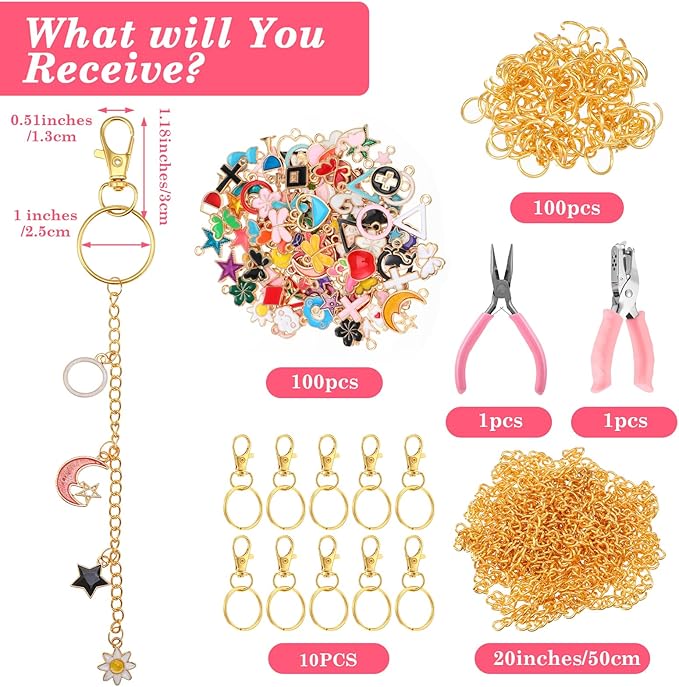 Dimeho 213 Pcs Jewelry Making Kit Keychain Making Including 100 Enamel Charms 10 Keychain Clips 10 Key Rings 100 Jump Rings 1 0 Gold Extender Chain and Plier Hole Punch for DIY Craft Bag Women